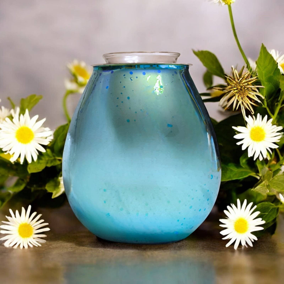 Diffuseur par Chaleur Douce Calorya n° 6