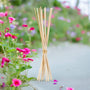 Tiges Diffuseur Capillarité Bouquet Parfumé x 10 Rotin 23cm