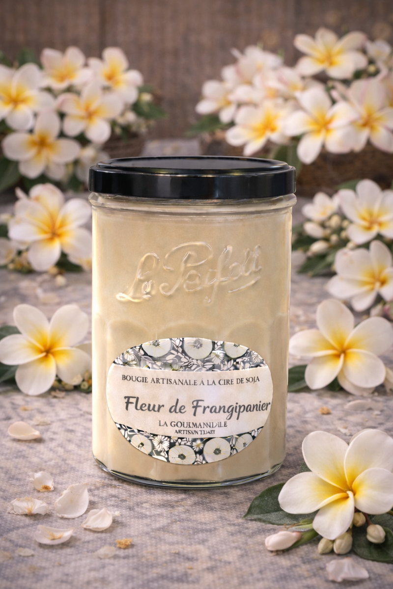 Fleur de frangipanier