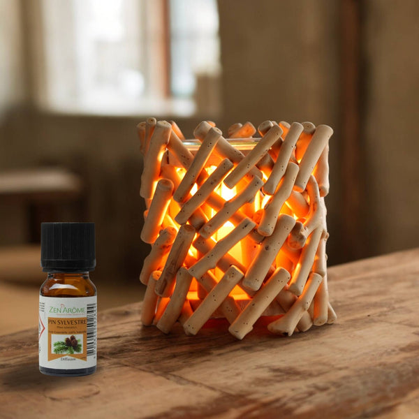 Diffuseur par Chaleur Douce Calorya n°7