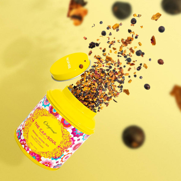 Infusion Fruits des Bois - Infusion en vrac boîte 100g