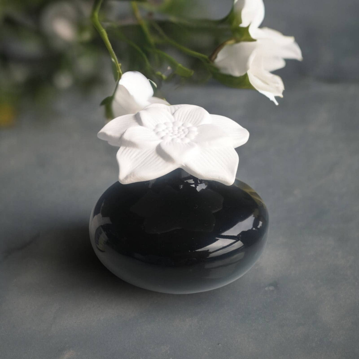 Diffuseur par Capillarité Narcisse Noir