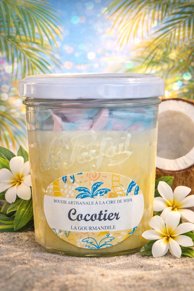 Cocotier