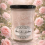 Rose des jardins