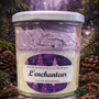 L'enchanteur