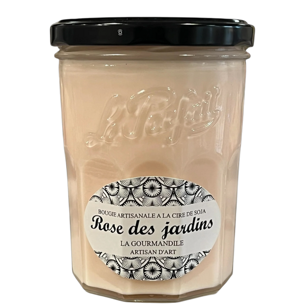 Rose des jardins