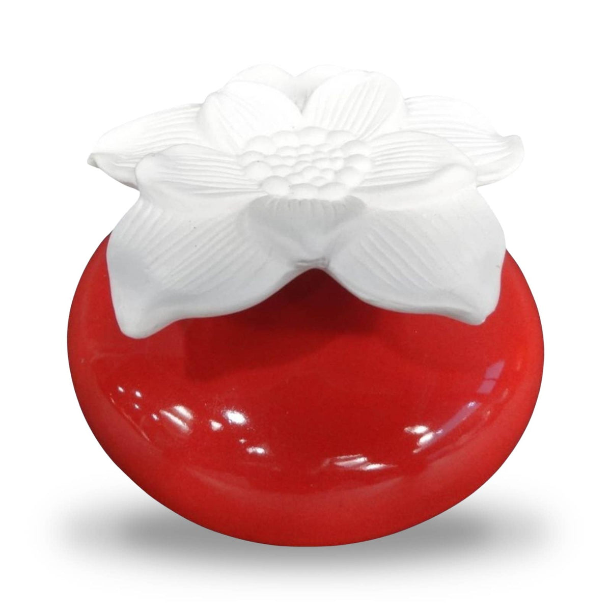 Diffuseur par Capillarité Narcisse Rouge