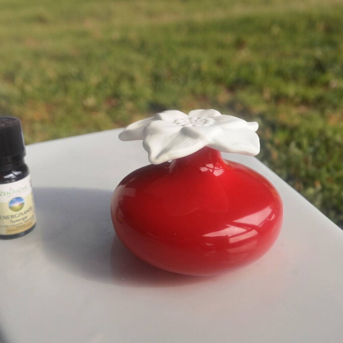 Diffuseur par Capillarité Narcisse Rouge