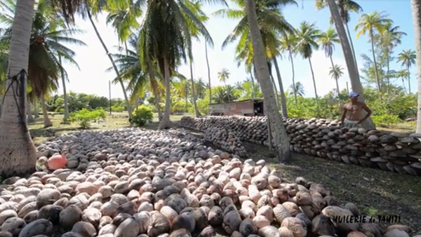 Monoï de Tahiti Tiaré Appellation d'Origine 150 ml soin été