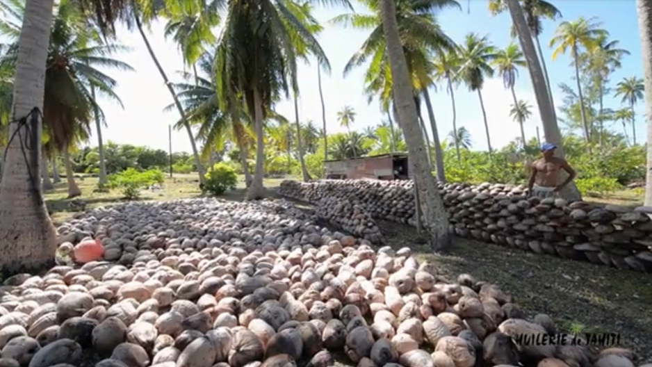 Monoï de Tahiti Coco Appellation d'Origine 150 ml soin été