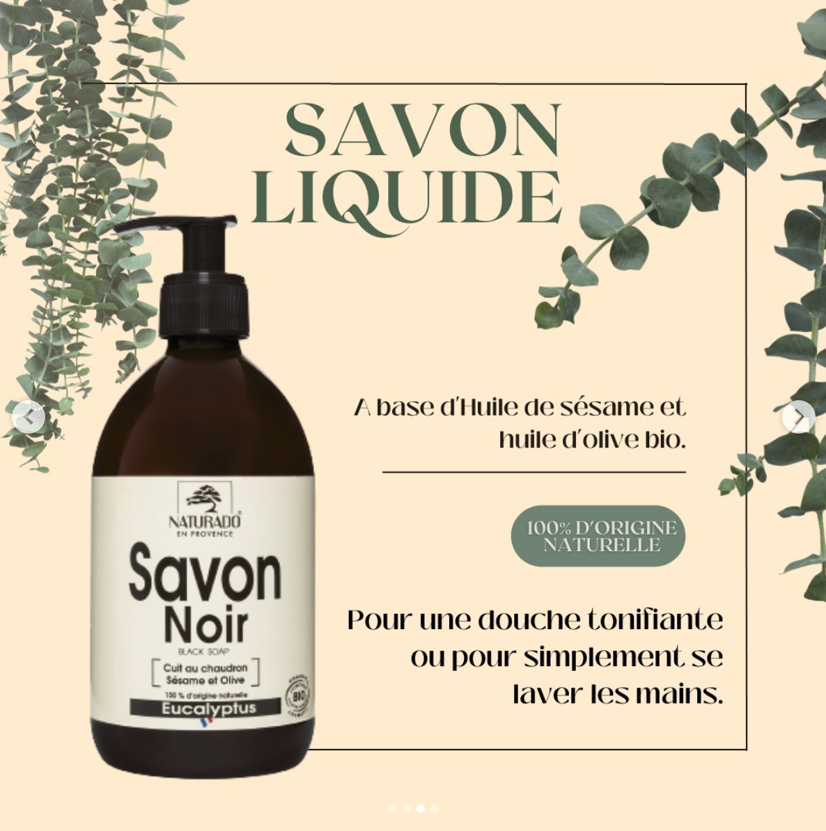 Savon Liquide Noir Eucalyptus Bio Ecocert 500 ml